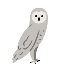 Hand drawn illustration with charming grey owl. Cute forest character. Vector lovely owl in flat style isolated on white background. Cartoon woodland creature. Childish colorful illustration