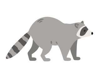 Hand drawn illustration with charming raccoon. Cute forest character. Vector lovely raccoon in flat style isolated on white background. Cartoon woodland creature. Childish colorful illustration