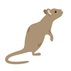 Hand drawn illustration with charming little mouse. Cute forest character. Vector lovely mouse in flat style isolated on white background. Cartoon woodland creature. Childish illustration