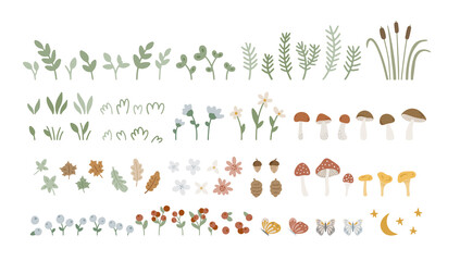 Hand drawn collection with forest elements: herbs, plants, cones, flowers, leaves, mushrooms, grasses, berries. Huge woodland set. Cartoon forest flora. Vector botanical illustration