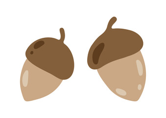 Hand drawn cartoon forest acorns. Cute botanicals isolated on white background. Abstract acorns, oak nuts or seed in flat style. Woodland vector illustration
