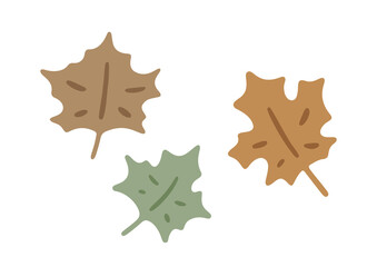 Naklejka na ściany i meble Hand drawn cartoon forest maple leaves. Cute botanicals isolated on white background. Abstract colorful leaves in flat style. Woodland vector illustration