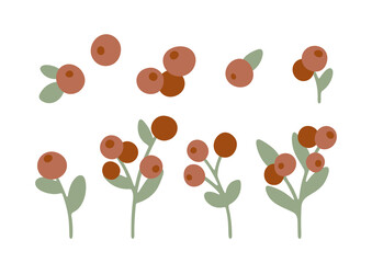 Hand drawn cartoon forest cranberry set with leaves and branches. Cute red berries isolated on white background. Abstract wild berry and foliage in flat style. Woodland vector illustration