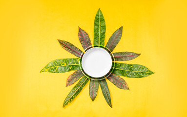 Vector banners set with green tropical leaves round frame on yellow background. Exotic botanical design. Illustration for invitation, wedding or greeting cards isolated on a white background.