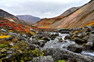 Obraz premium autumn colors of the mountain tundra near the Paratunsky waterfall in Kamchatka