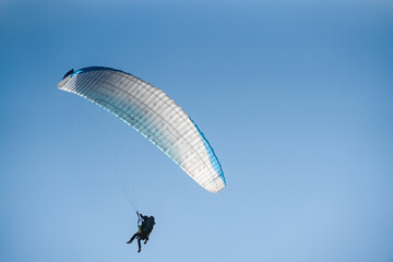 Paraglider in the blue sky. The sportsman flying on a paraglider.