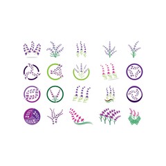 Fresh Lavender flower logo vector