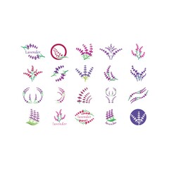 Fresh Lavender flower logo vector