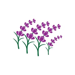 Fresh Lavender flower logo vector