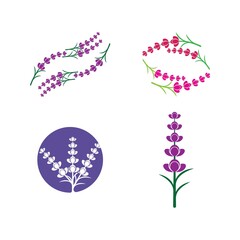 Fresh Lavender flower logo vector