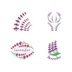 Fresh Lavender flower logo vector