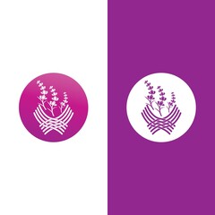 Fresh Lavender flower logo vector