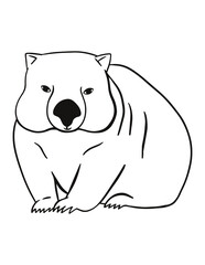 Wombat coloring page for kids. Animal coloring art.