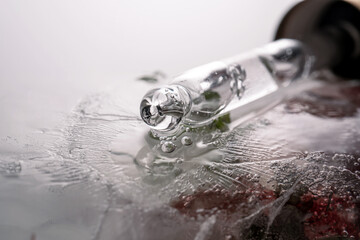 Pipette on a large piece of ice with frozen flowers.