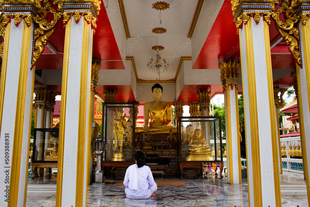 Wall mural thai women ordained as a nun for observe religious practice dharma and meditate respect praying budd