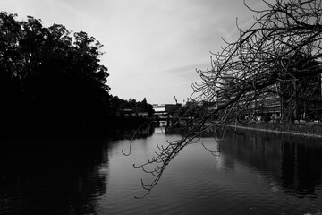 reflections on the water