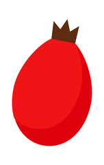 Obraz premium Rose hip berry. Vector illustration