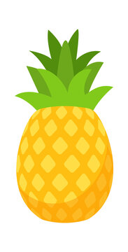 Pineapple Tropical Fruit. Vector illustration