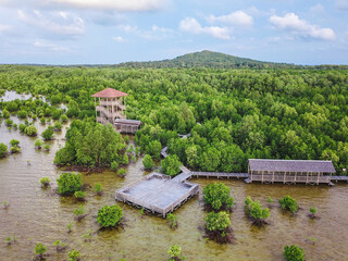 Fototapeta premium Mangrove Forest With Beautiful Viewing Post in Karimun Jawa National Park
