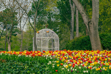 Obraz premium Tulip Garden. Tulip Festival in the Emirgan İstanbul. iron cage sitting area in the park and colorful tulips around it