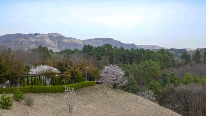 Kislovodsk - a magnificent resort in the south of Russia, Caucasus