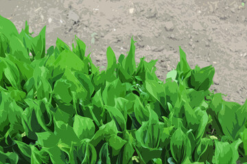illustration of green leaves on the ground background