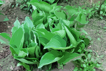 illustration of green leaves on the ground background