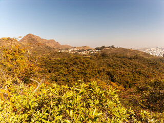 Panorama of the forest and the city of Belo Horizonte seen from the top of the mountain. Serra do Corral.