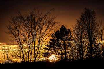 sunset in the field