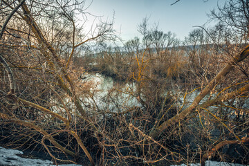 spring has come to nature