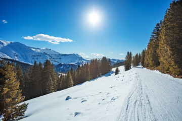 Fototapeta na wymiar Mountain ski track in woods side over alpine panorama