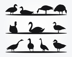 Set of a Black Bird silhouette