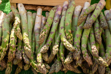 Fresh raw green asparagus vegetables for sale in Provencal farmers market in april, Cassis, France