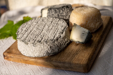 French goat cheeses crottin and selles-sur-cher served with view on boats in harbor of Cassis, Provence, France