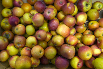 Many red and yellow apples 
