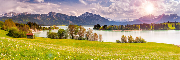 beatiful panoramic landscape with meadow and trees
