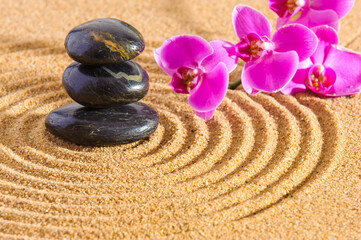 Fototapeta na wymiar Japanese garden with yin yang stone in textured sand