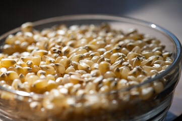 Yellow popcorn kernels in a glass bowl on a kitchen counter