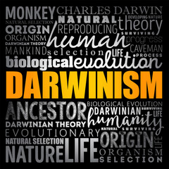 Obraz premium Darwinism - is a theory of biological evolution developed by the English naturalist Charles Darwin, word cloud education concept background