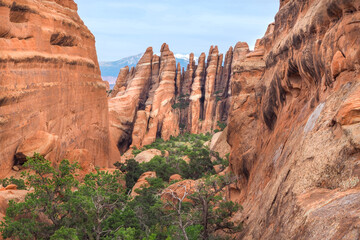 View of Fin Canyon on the Devil's Garden trail in the Arches National Park, Utah, USA. Sandstone rock geological formations in Utah desert. Hiking in the American southwest on a nice day of spring.