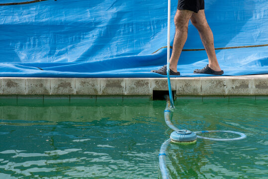 Piernas del hombre que hace mantenimiento en la piscina, lona reci&eacute;n quitada, agua verde, robot y flotador de cloro