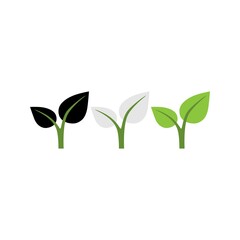 Eco leaf on a white background. Vector illustration