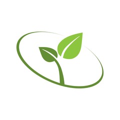 Eco leaf on a white background. Vector illustration