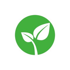 Eco leaf on a white background. Vector illustration