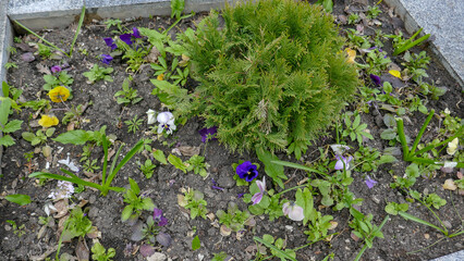 Fototapete bei efototapeten.de bestellen   