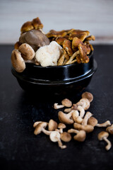 Dark bowl with a mix of wild mushrooms spilling out onto dark background. 