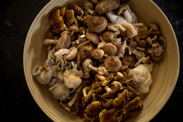 Closeup of mixture of wild lion's mane, oyster, cinnamon cap and shiitake mushrooms in bowl on dark black background.