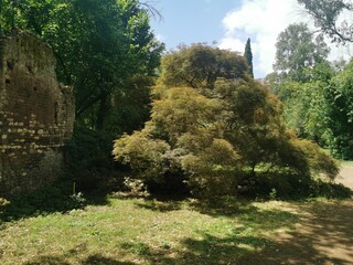 Giardino delle Ninfee - Sermoneta - Latina - Lazio - Italia - Paesaggio incantevole