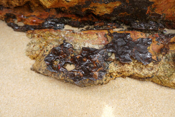 Selective focus raw cassiterite metallic ore of tin stuck on rock. Natural mineral from geological.