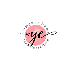 YE signature logo template vector
